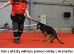 odchytov� slu�ba Praha VET-SERVIS