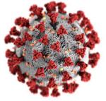Koronavirus i vl�dn� opat�en� zah�bou pra�sk�m rozpo�tem. Hlavn� m�sto hled� �spory v b�n�ch v�daj�ch a pl�nuje investovat